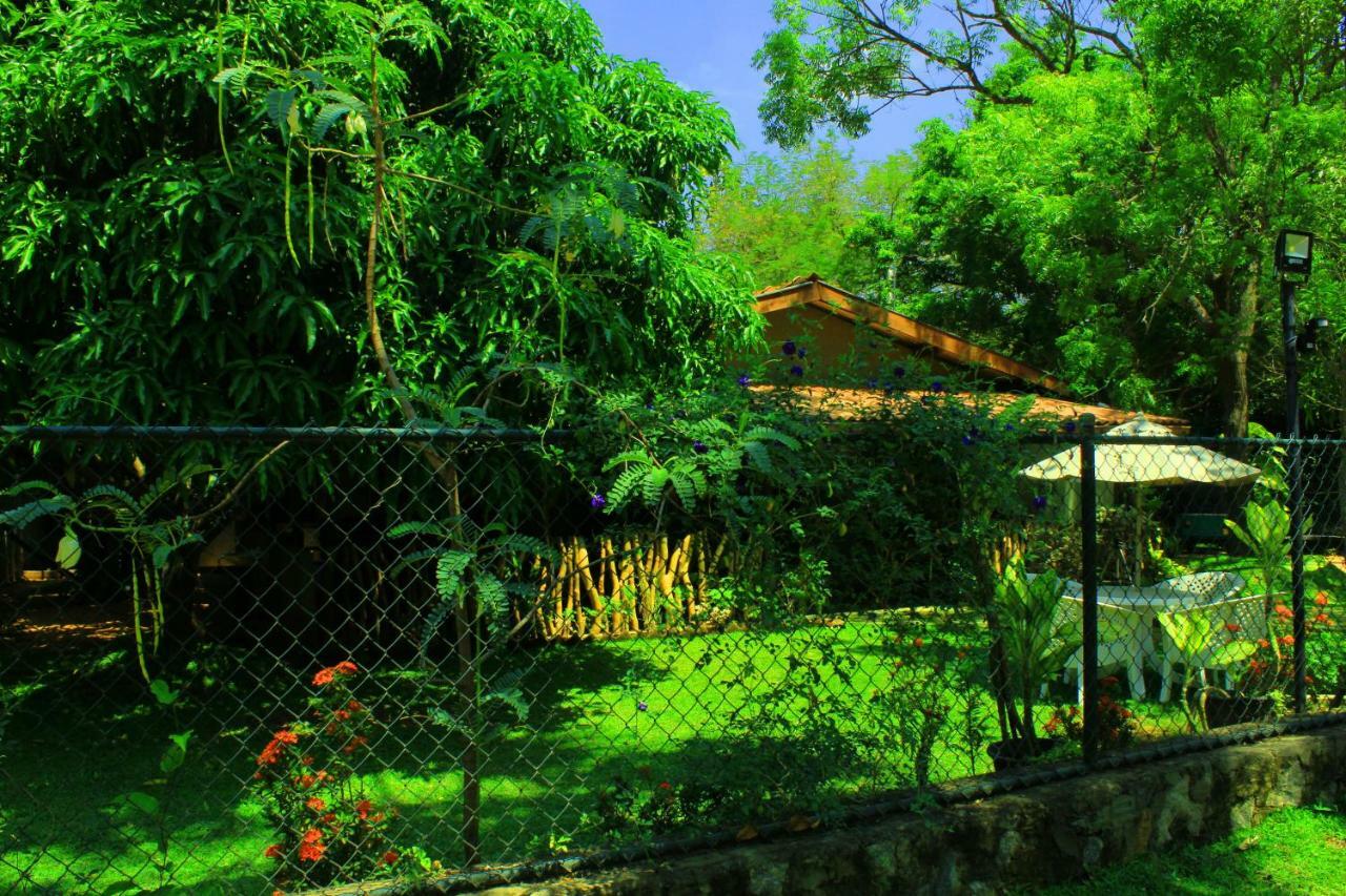 Thal Sewana Home Stay Sigiriya Exterior foto